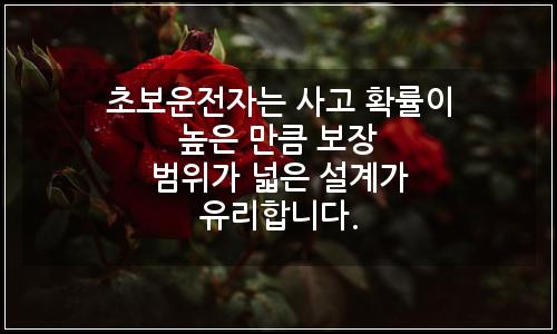 오늘의 이미지