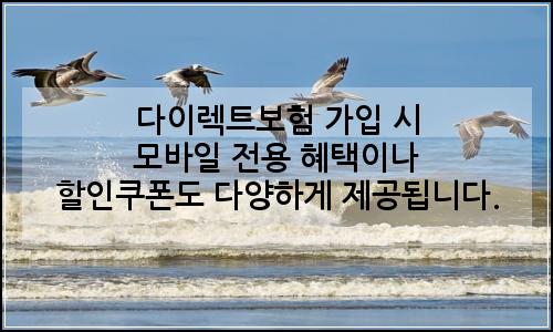 오늘의 이미지