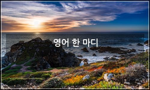 오늘의 이미지