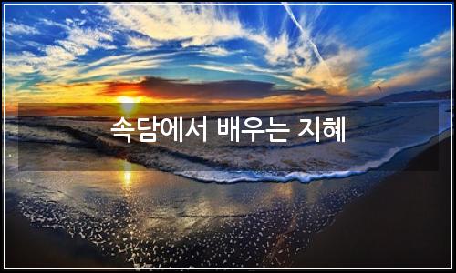 오늘의 이미지