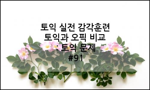오늘의 이미지