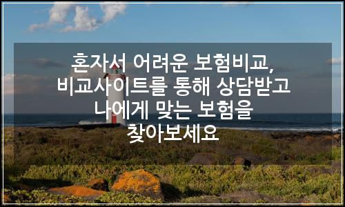 오늘의 이미지