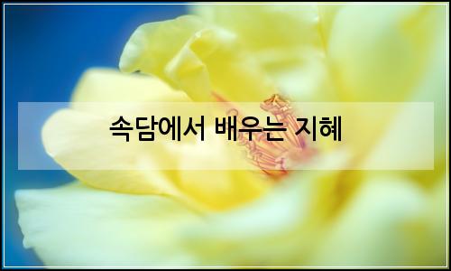 오늘의 이미지