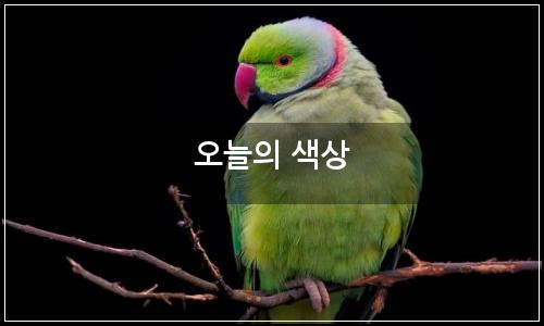 오늘의 이미지