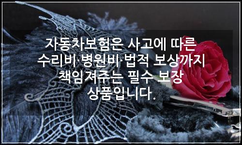 오늘의 이미지