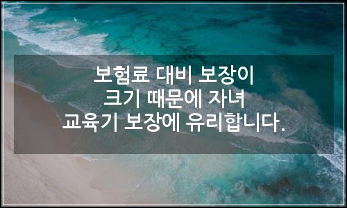 오늘의 이미지