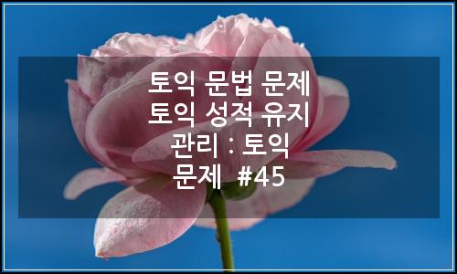 오늘의 이미지