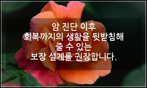 오늘의 이미지