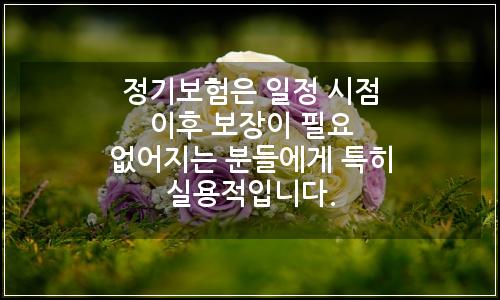 오늘의 이미지