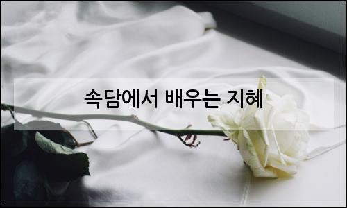 오늘의 이미지
