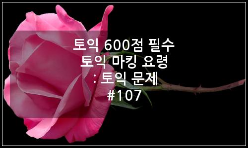 오늘의 이미지