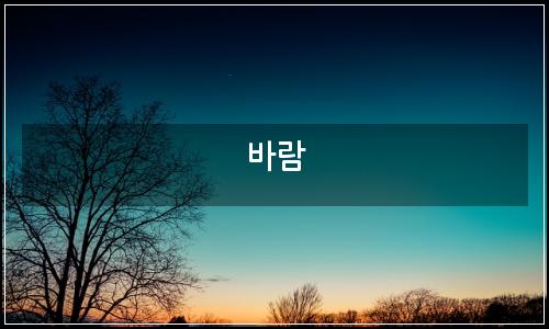 오늘의 이미지