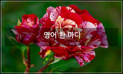 오늘의 이미지