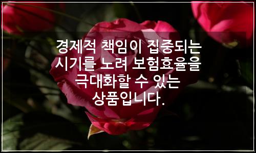 오늘의 이미지