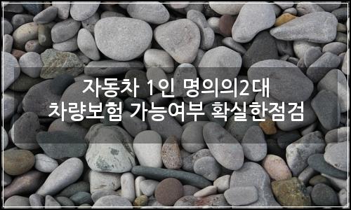 오늘의 이미지