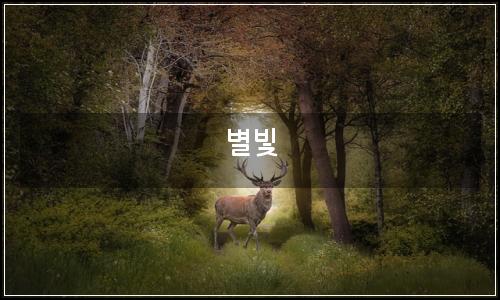 오늘의 이미지