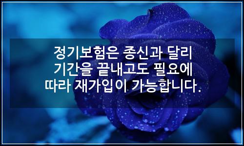 오늘의 이미지