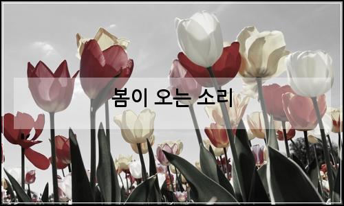 오늘의 이미지