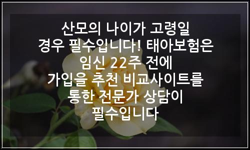오늘의 이미지