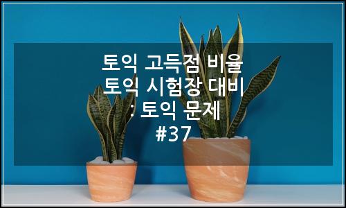 오늘의 이미지