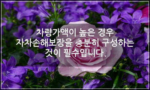오늘의 이미지