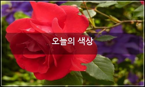 오늘의 이미지