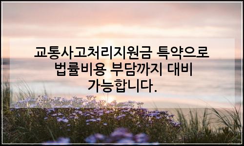 오늘의 이미지