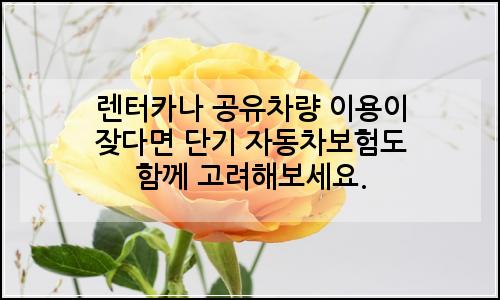 오늘의 이미지