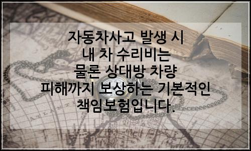 오늘의 이미지