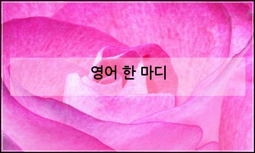 오늘의 이미지