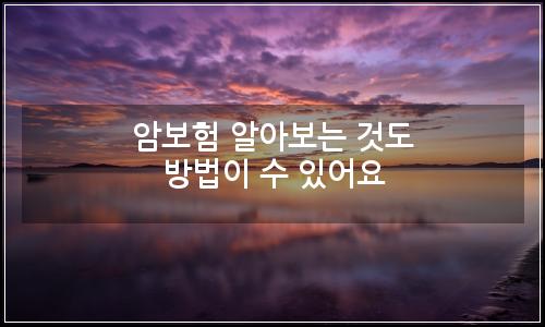 오늘의 이미지