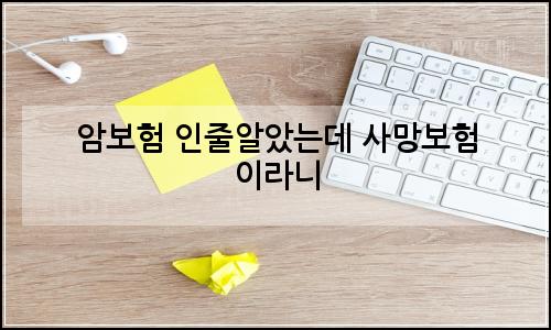 오늘의 이미지