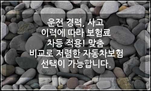 오늘의 이미지