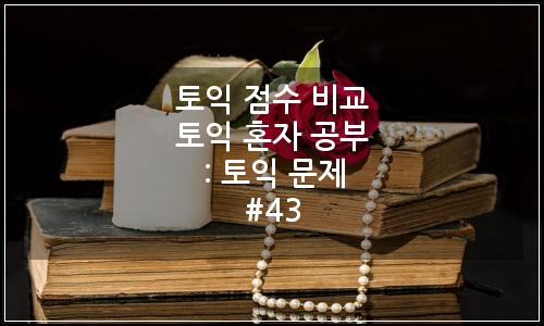 오늘의 이미지