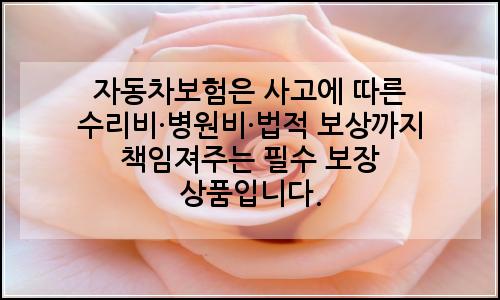 오늘의 이미지
