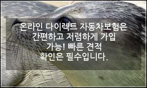 오늘의 이미지
