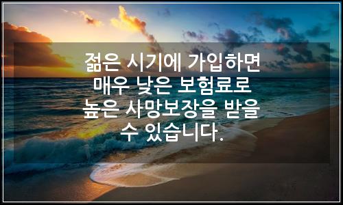 오늘의 이미지