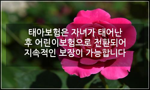 오늘의 이미지