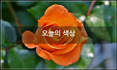 오늘의 이미지