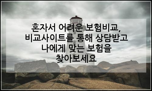 오늘의 이미지