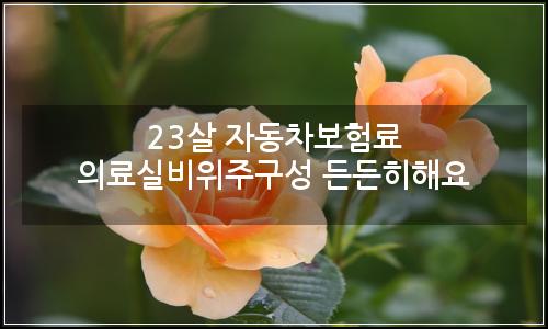 오늘의 이미지