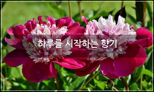 오늘의 이미지