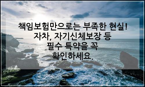 오늘의 이미지