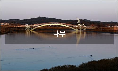 오늘의 이미지