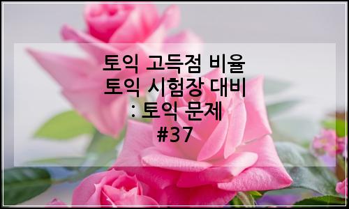 오늘의 이미지