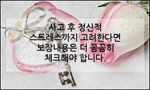 오늘의 이미지