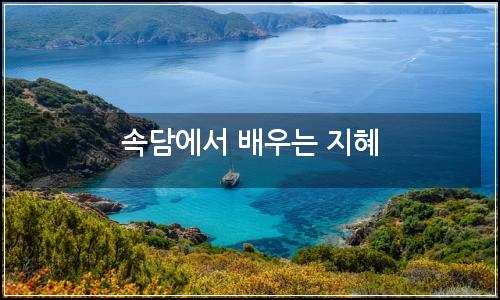 오늘의 이미지
