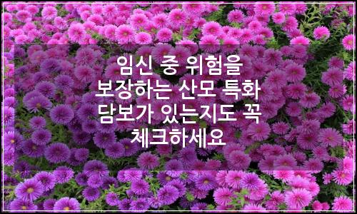 오늘의 이미지