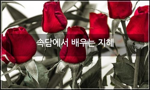 오늘의 이미지