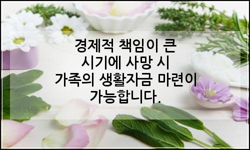 오늘의 이미지